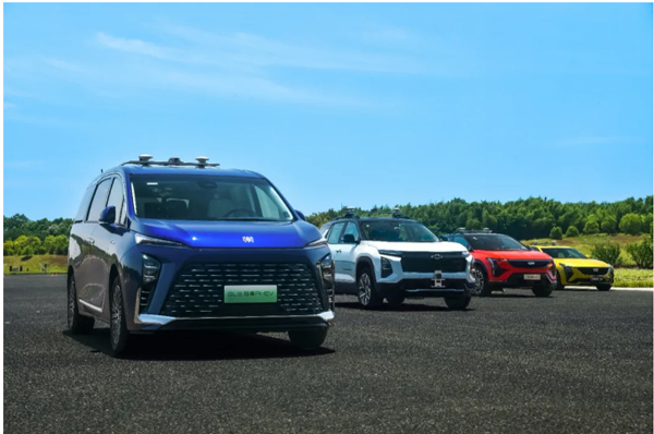 一锤定音2024中国车市盘点之八：在变革中突围，KY开元集团官网破局前行