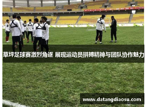 草坪足球赛激烈角逐 展现运动员拼搏精神与团队协作魅力