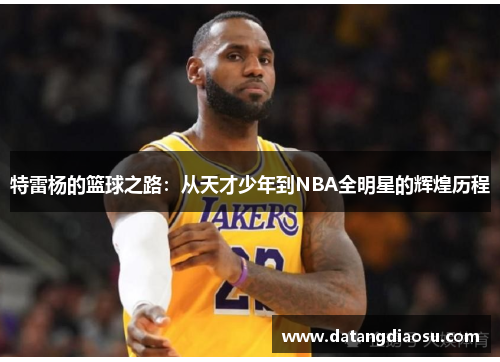 特雷杨的篮球之路：从天才少年到NBA全明星的辉煌历程