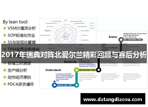 2017年瑞典对阵北爱尔兰精彩回顾与赛后分析
